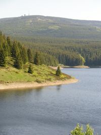 Natur pur - die Eckertalsperre